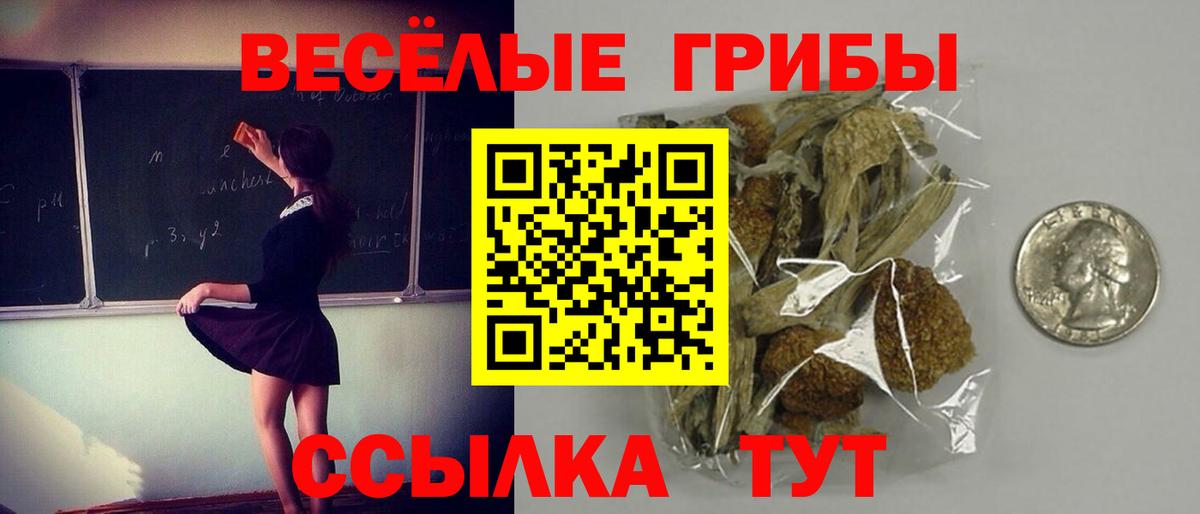 наркотики  Вход с VPN  Нижневартовск  Галлюциногенные грибы Psilocybe  Псилоцибиновые грибы Cubensis 